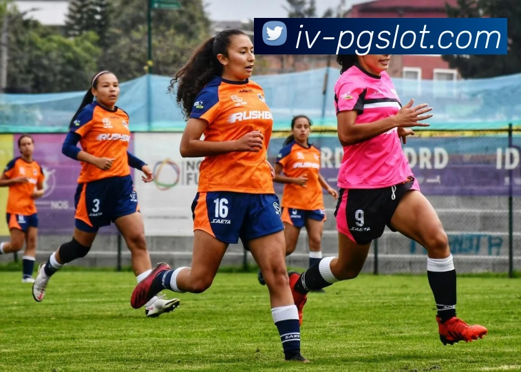 赏金女王PG电子官网APP 体育赛事宣传图